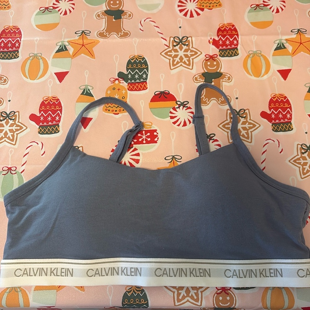Calvin Klein archive logo bralette